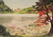 Lily Pond - Sheffield Park