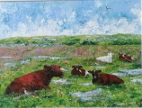 Cows in the Burren