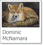 Dominic McNamara